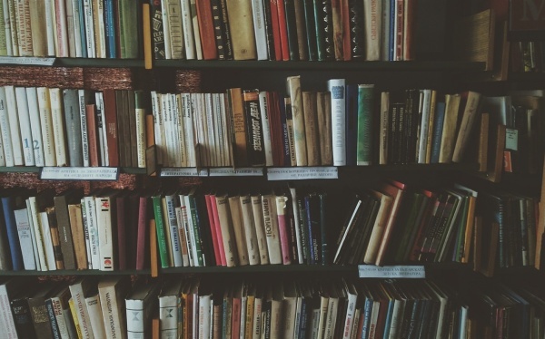 家园习俗作文范文