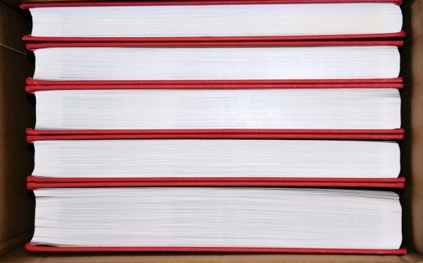 根底养老金范文