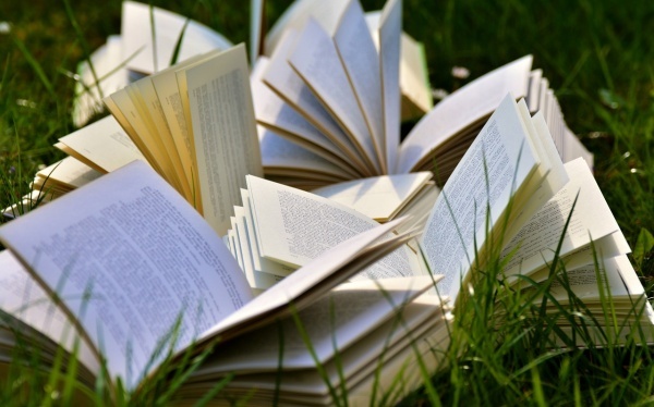 小三和合术:若是我们情绪变淡了，你会怎么做？3步教你增进