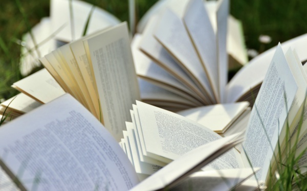 白羊男欲取姑予的体现