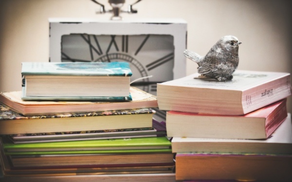 杨贵妃未被立为皇后 是公公霸占儿媳还是无子嗣？