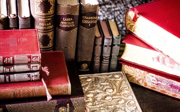 芍药花一年四序的养护方式 芍药花养护好花朵才气大