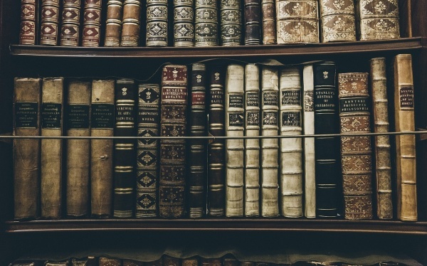 孕妈妈能吃人参果吗