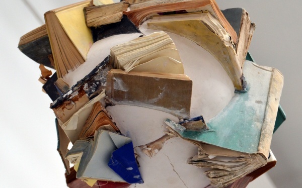 红细胞有什么免疫功用？