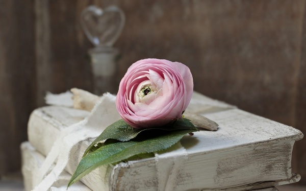 白领健身宣泄压力好吗