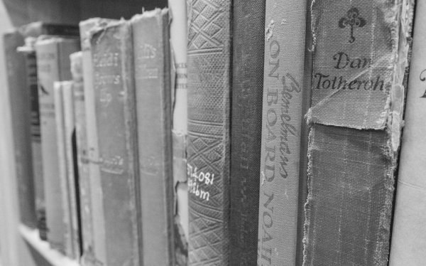 农村诱蜂秘方，几月诱蜂最容易来蜂