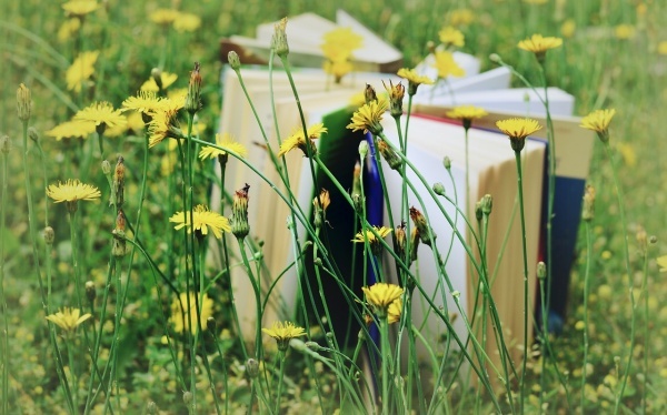 中考加油的语句范文