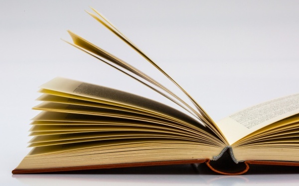 女人自我查看下体的办法