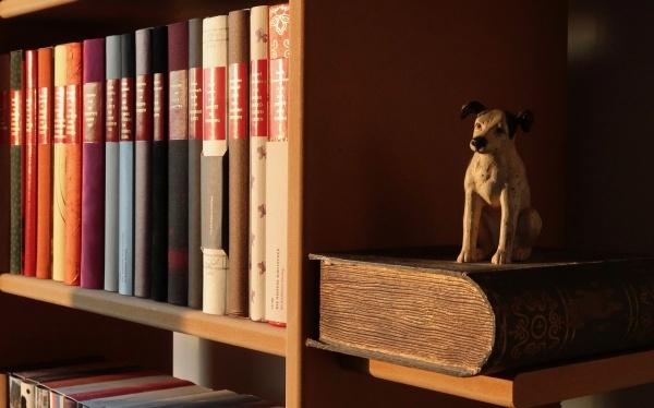 吸脂瘦身手术术后的护理办法