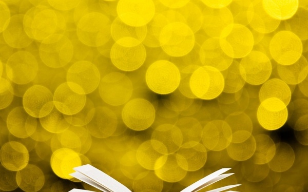 季度履职陈述范文