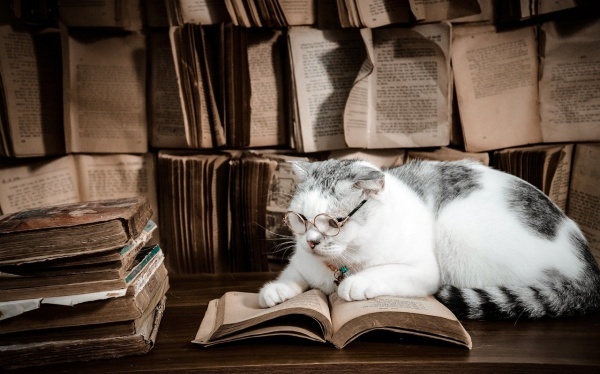 免费个人星盘查询,怎么查个人星盘