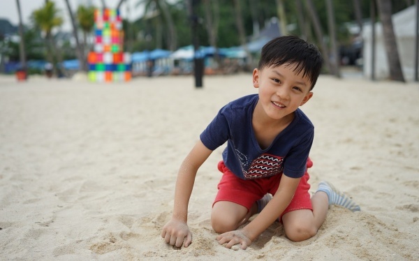 中蜂王台多久看一次？阻止分蜂1周看一次，若要分蜂3天看一次！