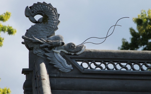 患有失眠吃什么食物好呢