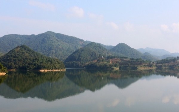 什么食物有利夏日肌肤健康