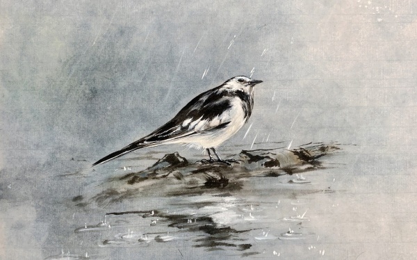 情降禁忌七天，情降破禁忌了怎么办？情降破法解救之法