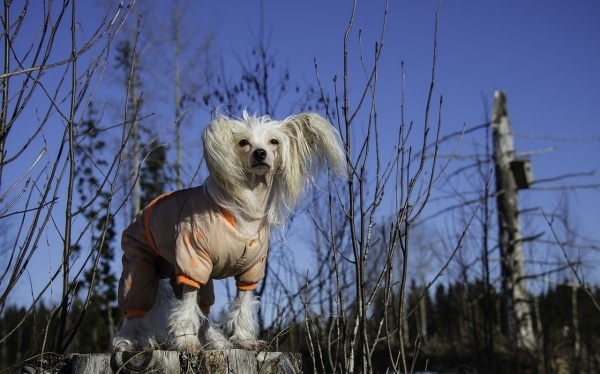 怎样挽回天蝎座男友 先领会天蝎座男友的性格