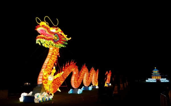 服乌鸡白凤丸的十项留意