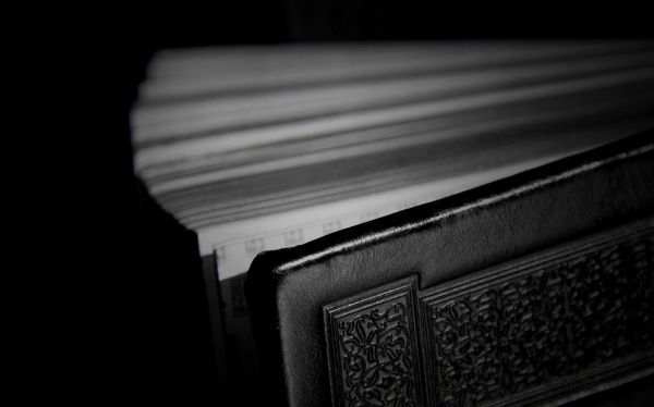 冷季出售工作计划范文