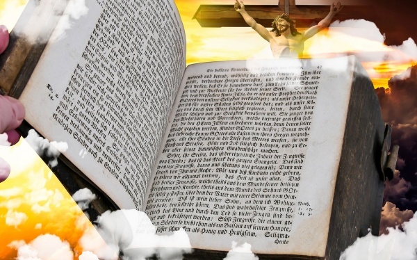 微量元素检测范文