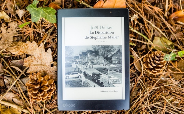 残疾申请书范文