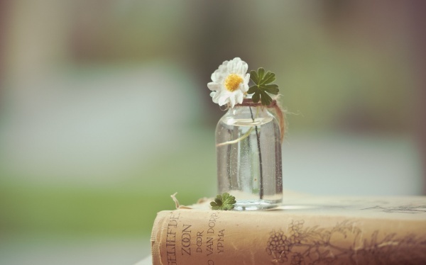 泰国做试管婴儿哪家强点？泰国试管组织实力大比拼！