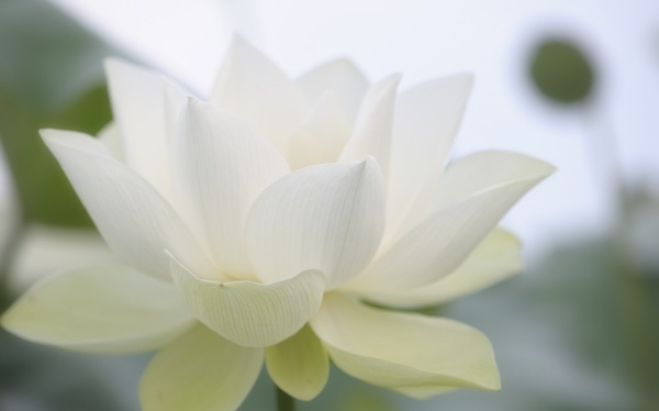 贲门癌患者要怎么饮食