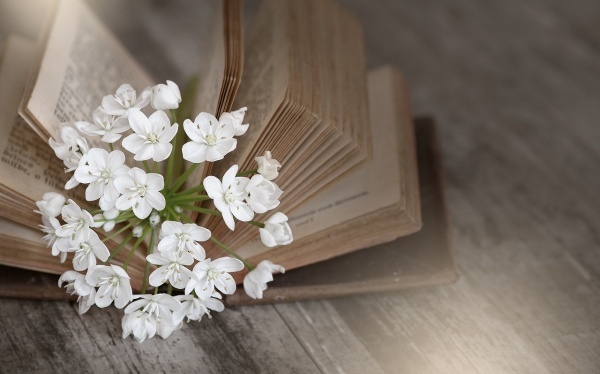 紫微斗数基本术语