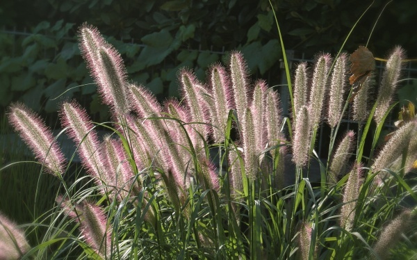 怎样护理重生宝宝