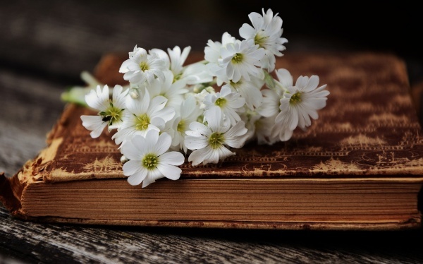 怎么应对隆胸手术失利