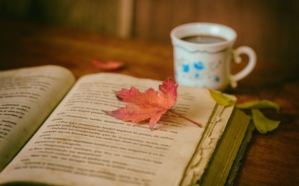 鸭脚木蜜的四大功效作用！