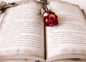 为何全世界暑期一定比寒假长？