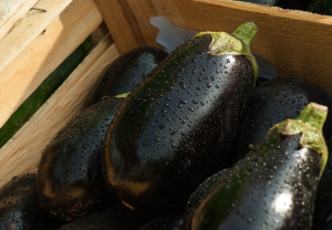 蒜拌茄子的做法