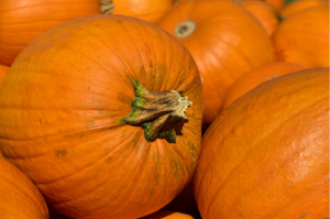 用豆浆机制作南瓜米糊